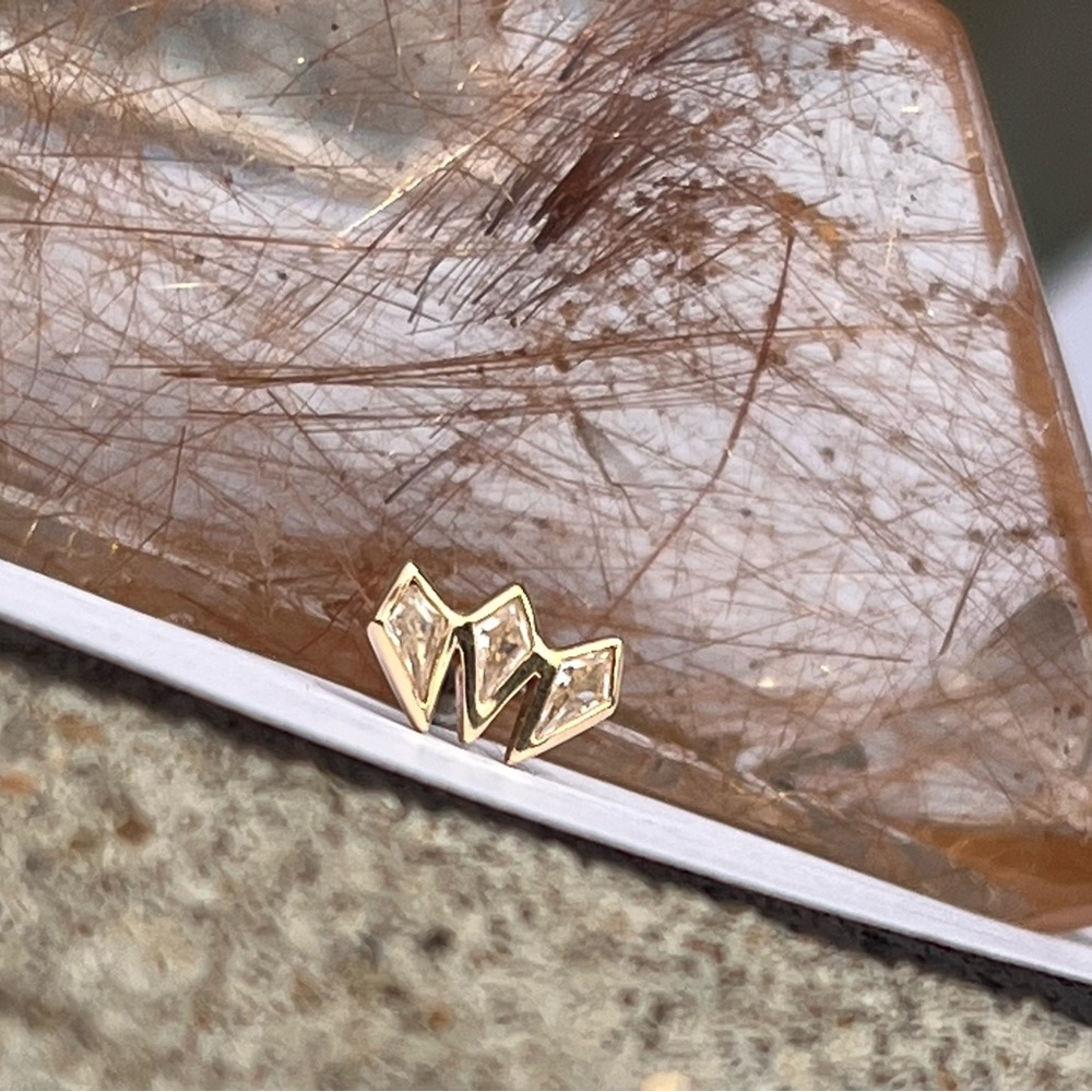 Chic Gold and Brown Geometric Earrings